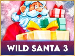 Wild Santa 3 screenshot